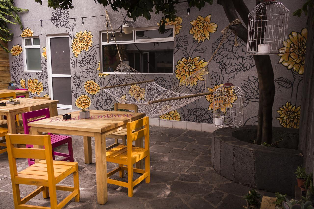 克雷塔罗 Casa Internacional酒店 外观 照片